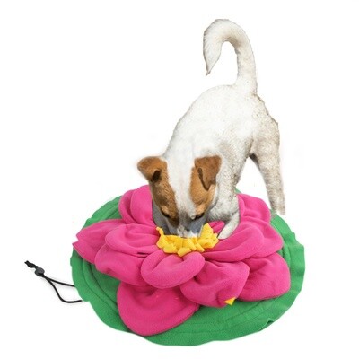 Interactive Dog Toys
