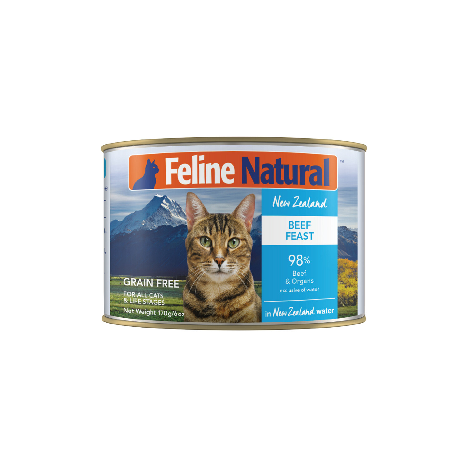 Feline Natural Beef Feast 170g can