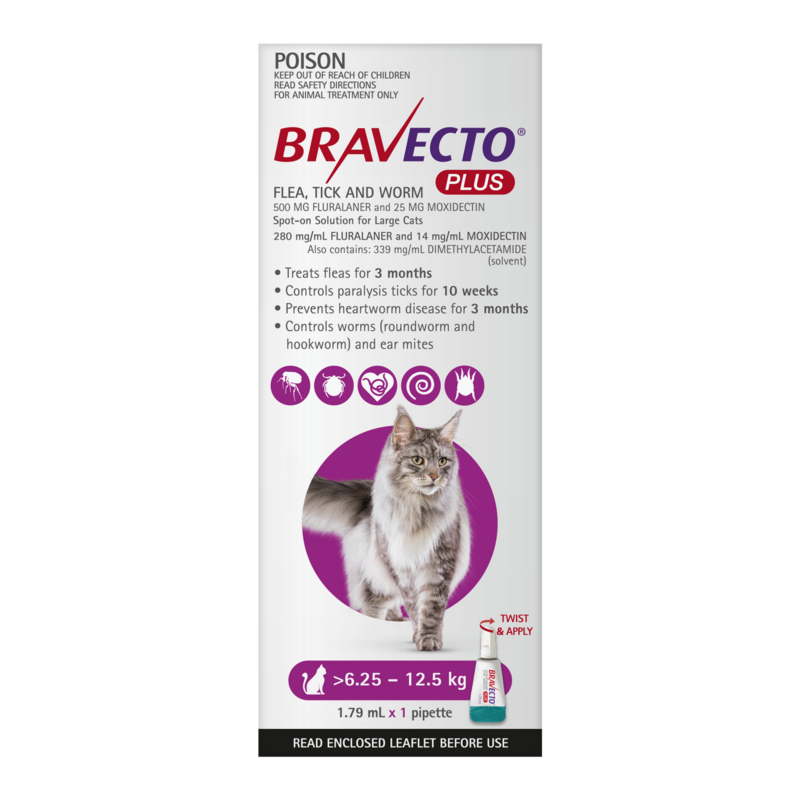 Bravecto Plus Cat Large 6.25-12.5kg