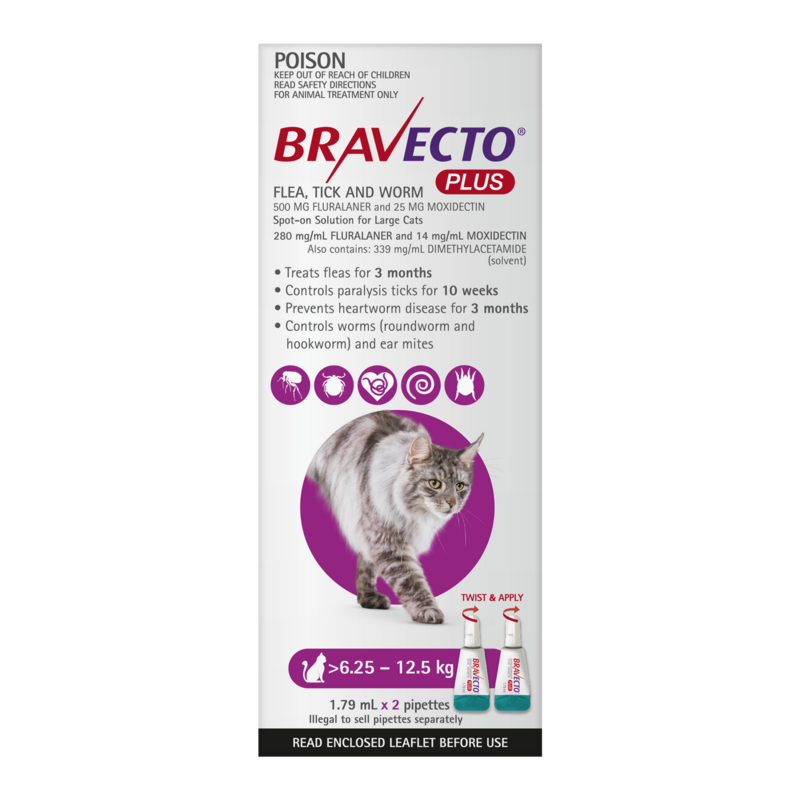 Bravecto Plus Cat Large 6.25-12.5kg 2PK