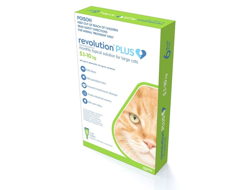 Revolution Cat Plus Large Cat 5-10Kg 6 Pack