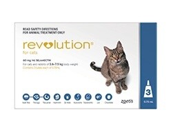 Revolution Cat Blue 3 Pack