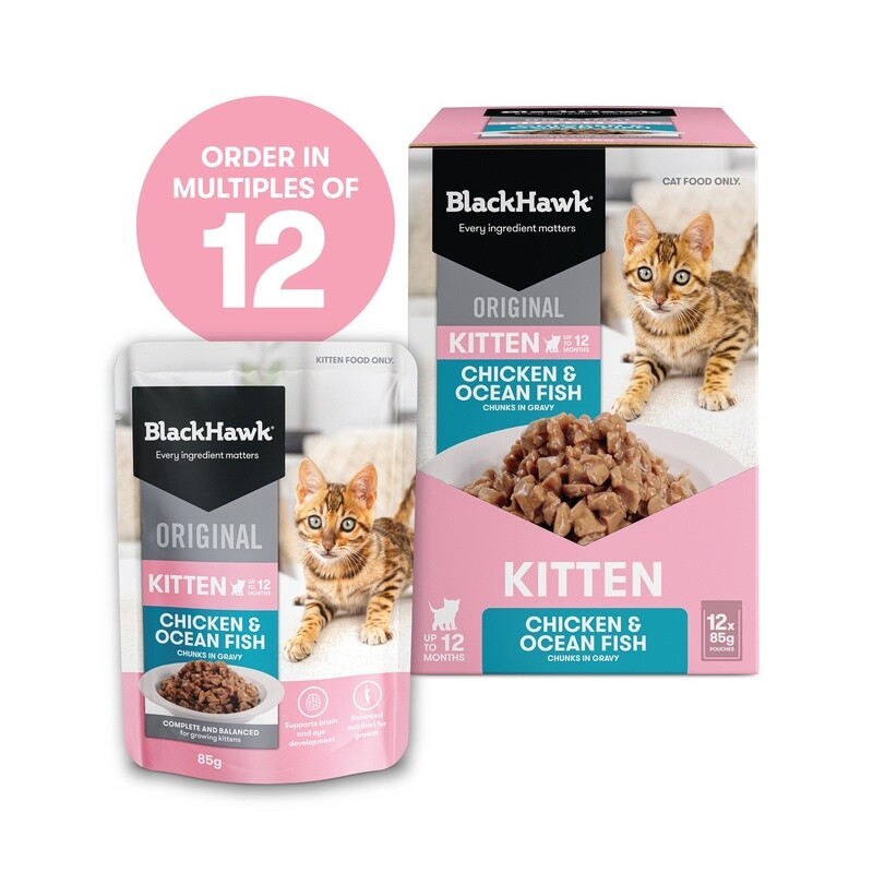 Black Hawk Kitten Chicken Ocean Fish In Gravy Cat Food 12 x 85g