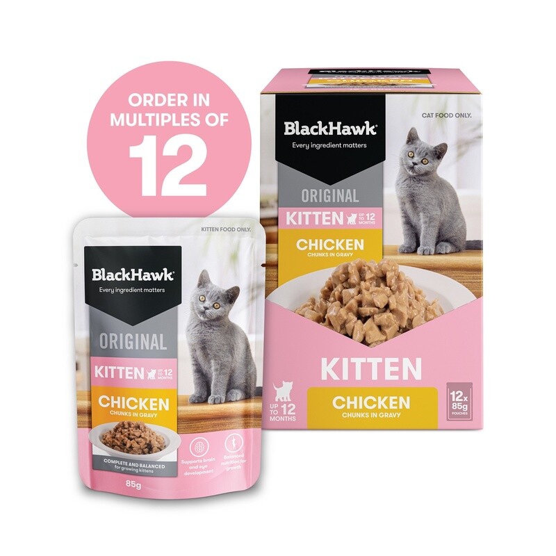 Black Hawk Kitten Chicken In Gravy Cat Food 12 x 85g