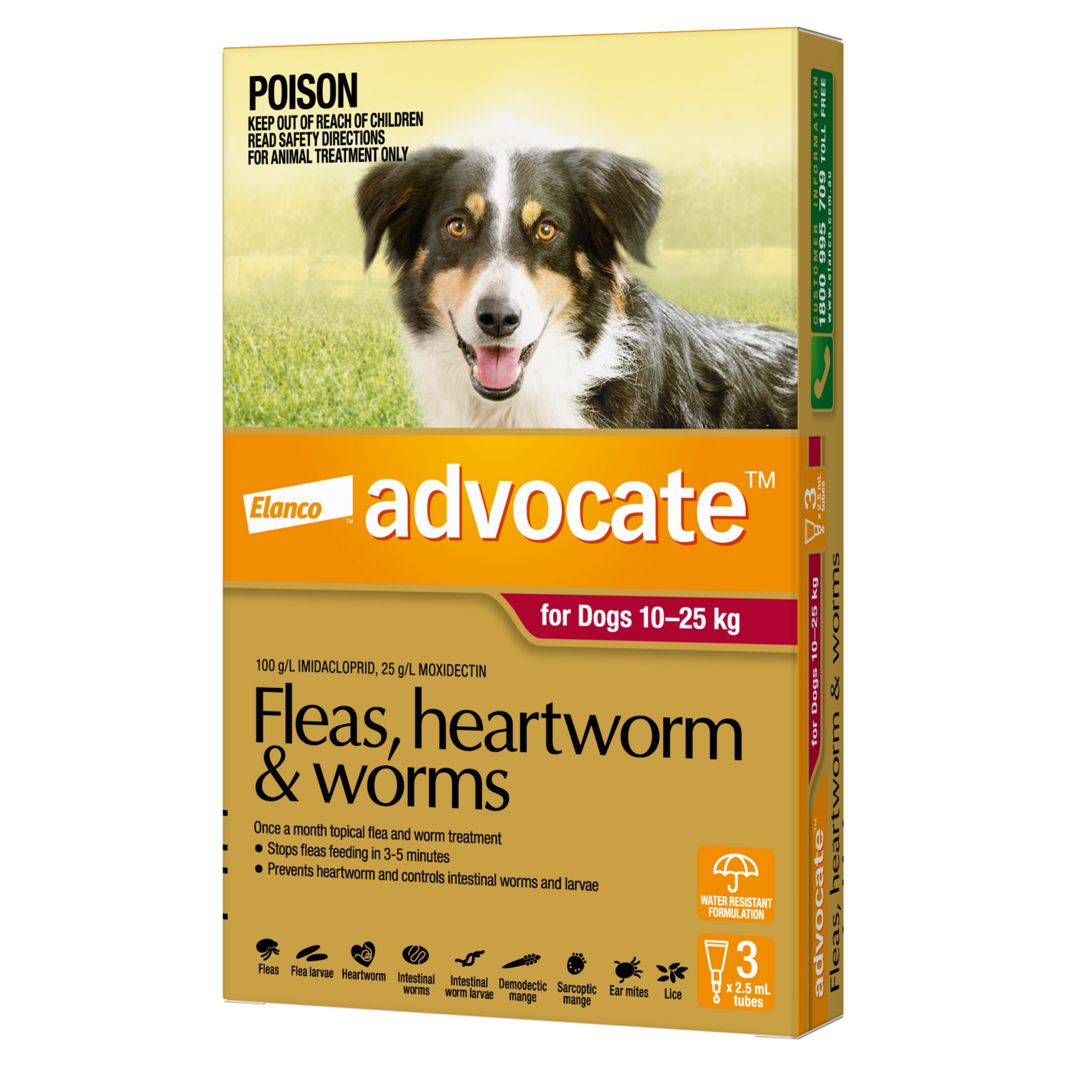 Advocate Dog  10-25Kg Large 3 Pack