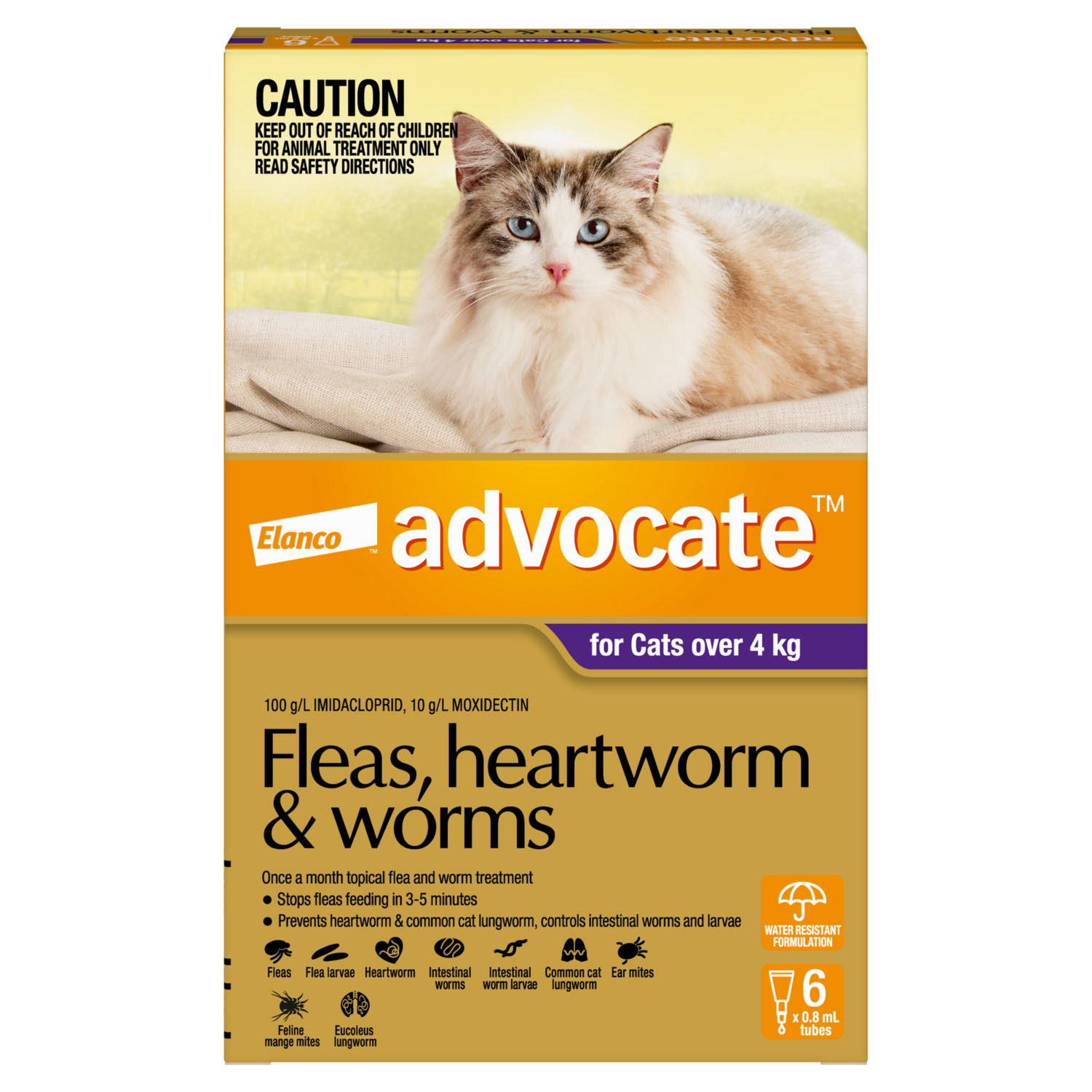 Advocate Cat  4Kg + Large 6 Pack