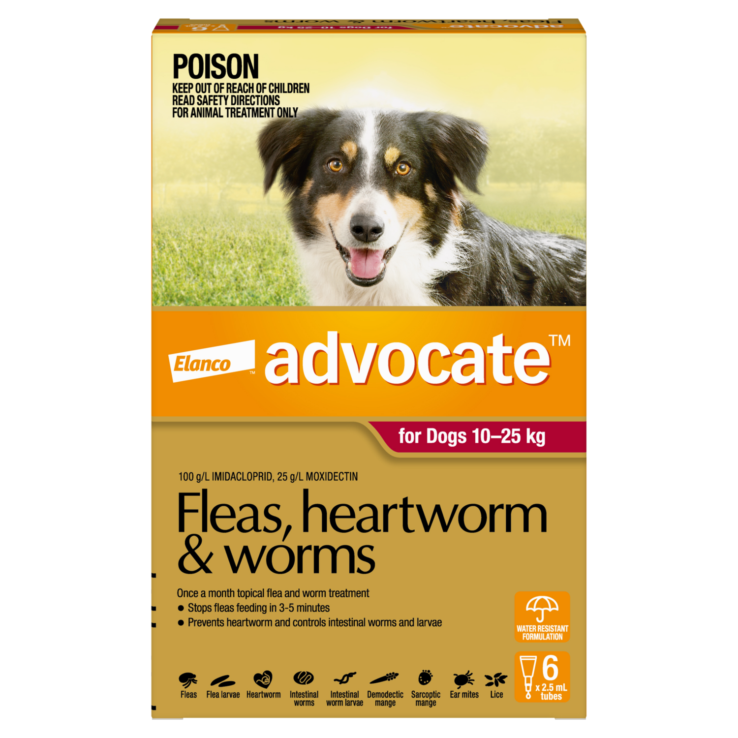 Advocate Dog  10-25Kg Large 6 Pack