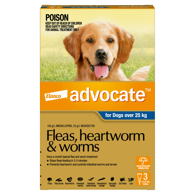 Advocate Dog  Over 25Kg Extra Large 3 Pack