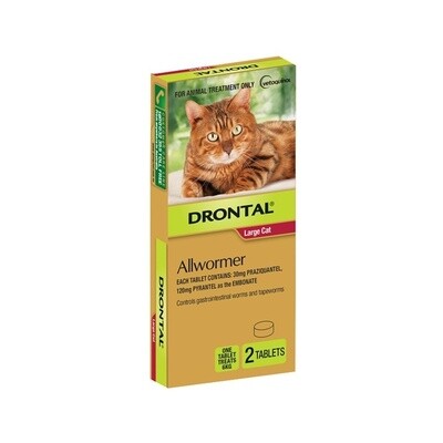 Drontal Allwormer Large Cat Tablets