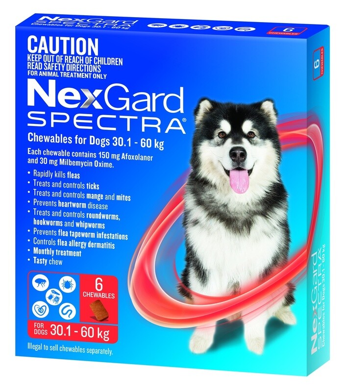 NexGard Spectra Dog 30.1-60K 6 PK