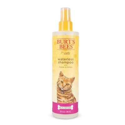 Cat Grooming
