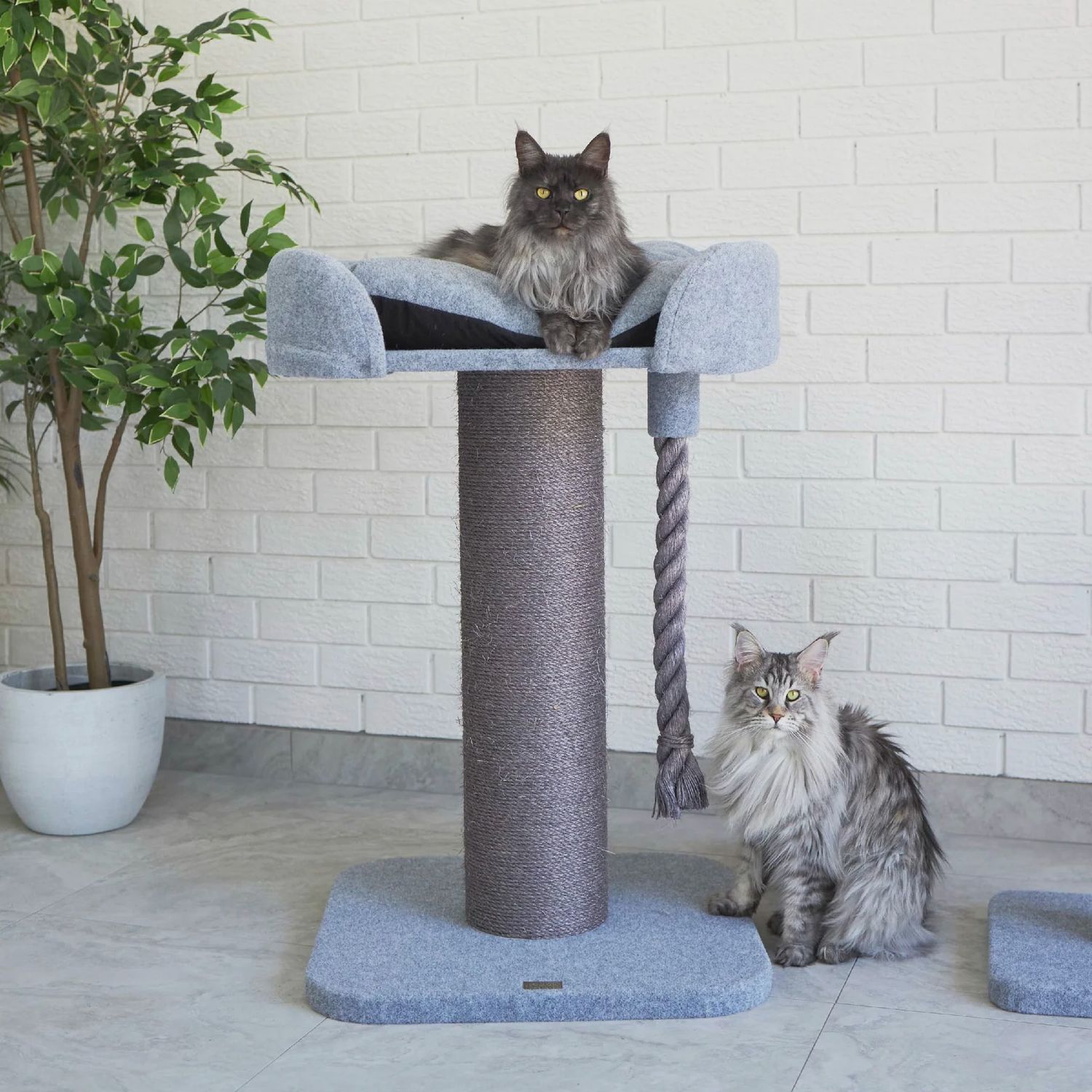 Kazoo Eco Kitty Scratch &amp; Sleep Cat Scratcher - Grey Ash