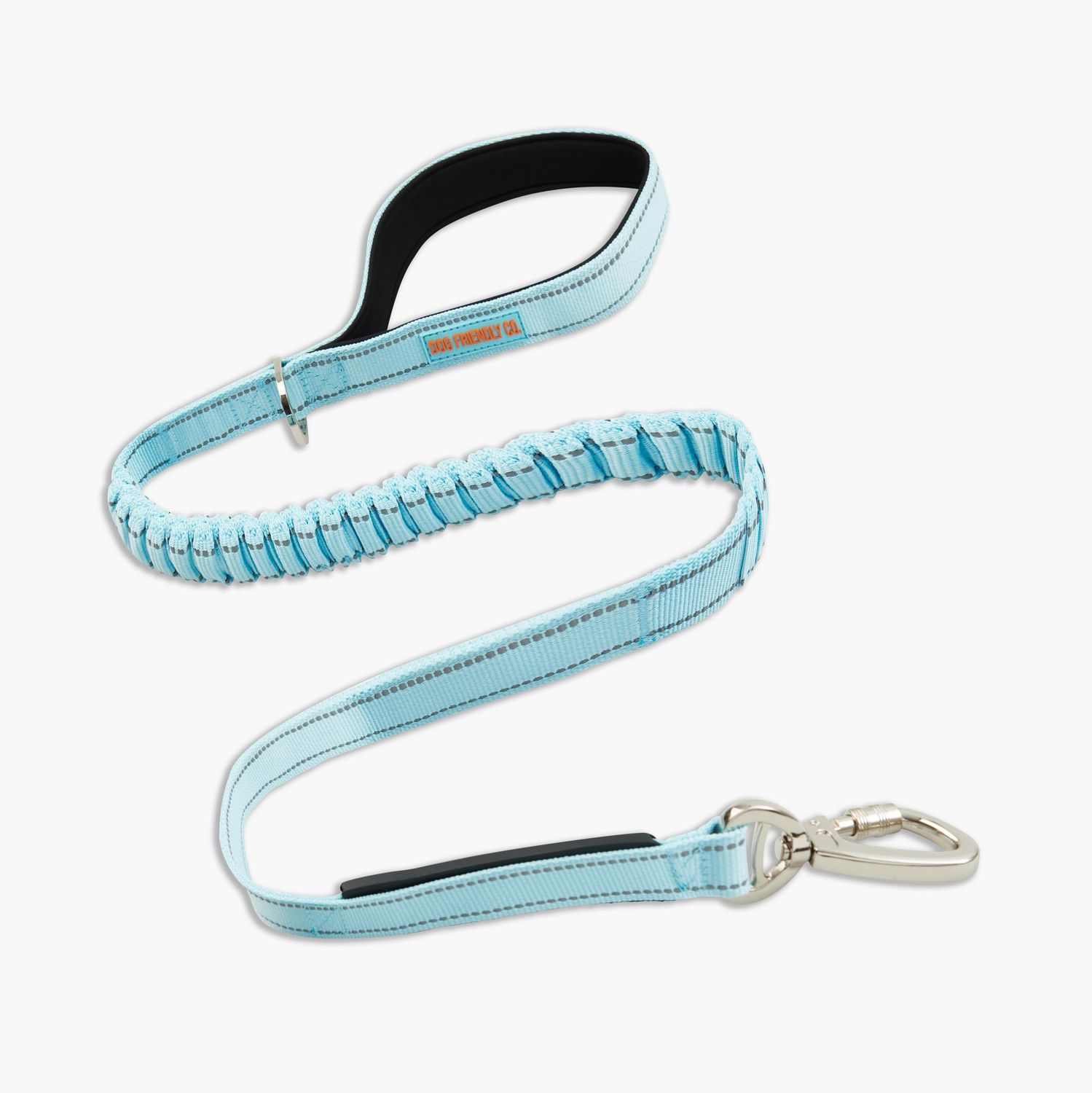 Dog Friendly Co. Bungee Dog Leash - Sky Blue Regular