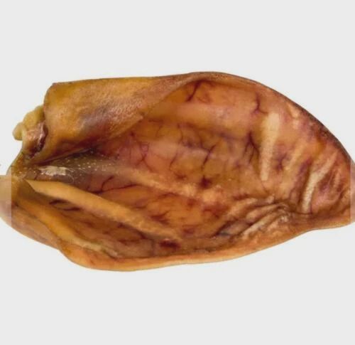 Blackdog Single Pig Ear