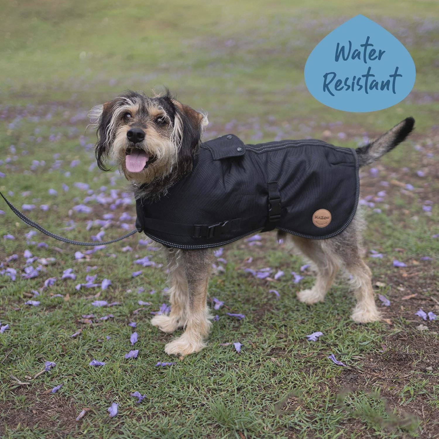 Kazoo Adventure Dog Coat With Harness Hatch  Black - 33.5cm