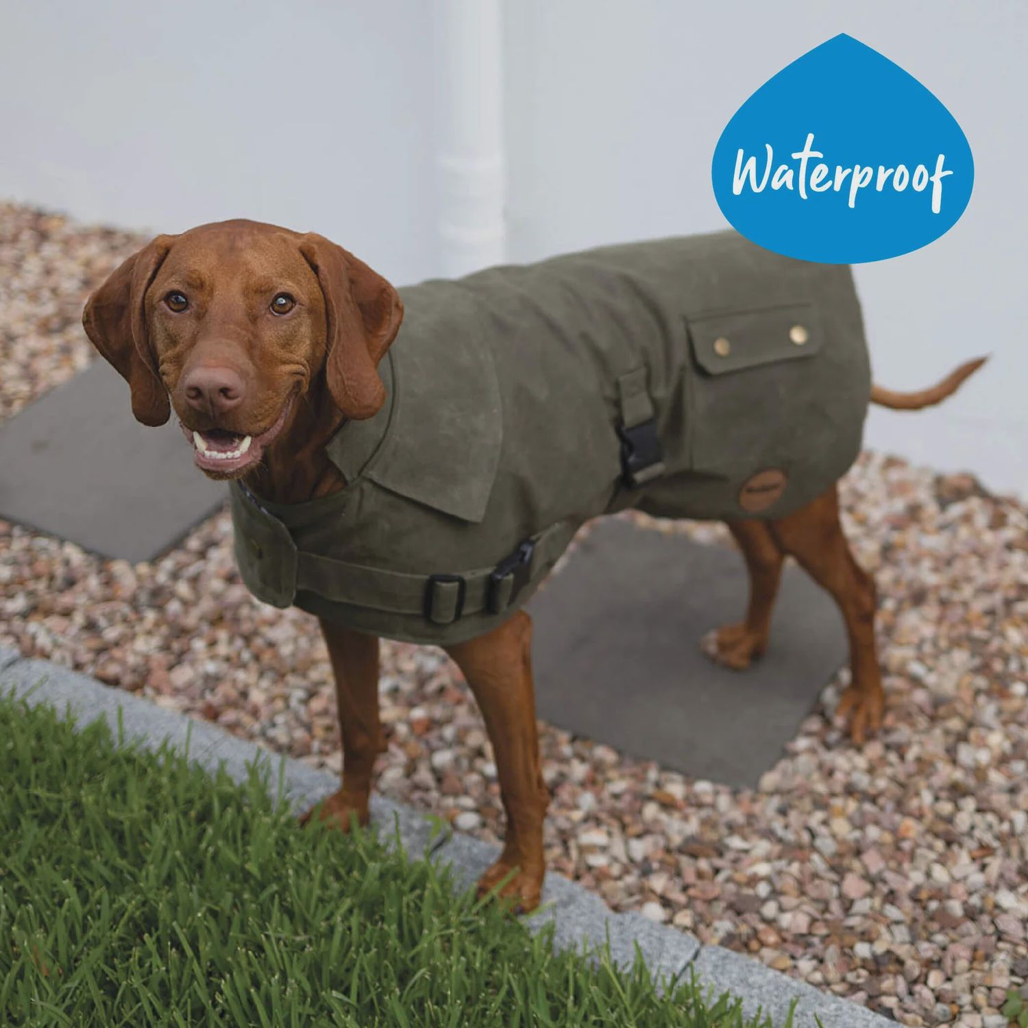 Kazoo Aussie Oilskin Dog Coat Olive 40cm