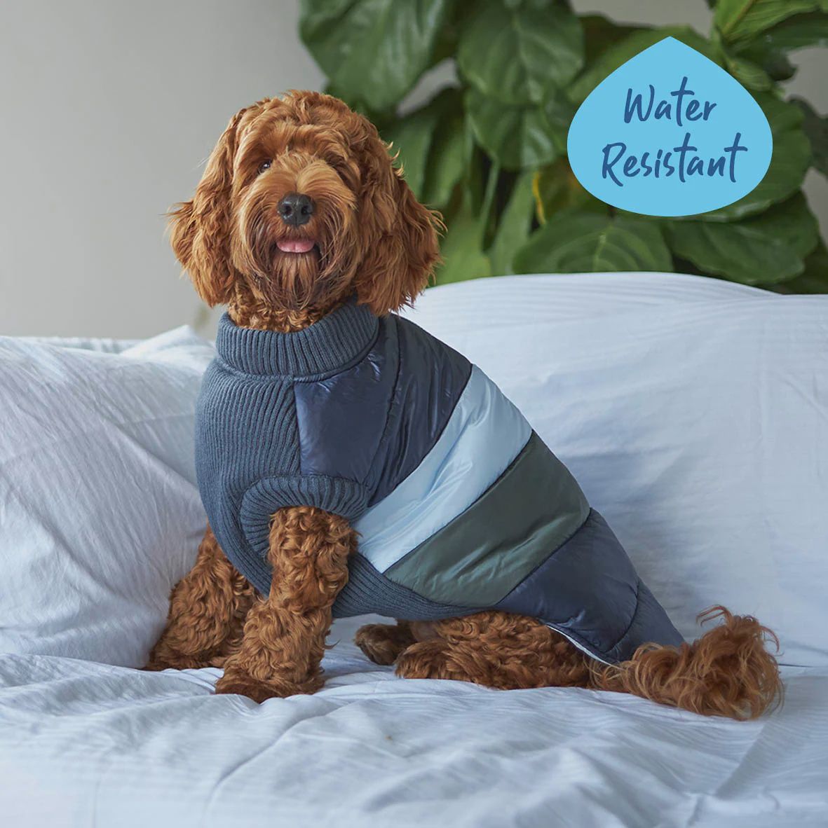 Kazoo Vovo Dog Puffer Jacket Seabreeze 46.5cm