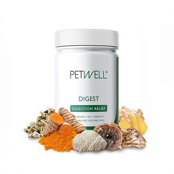 PetWell  DIGEST Digestion Relief supplement 125g