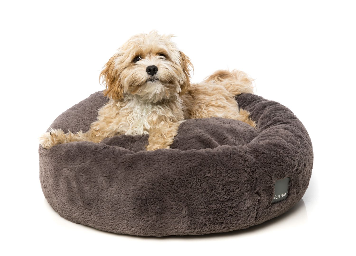 FuzzYard Dreameazzzy Cuddler Truffle Dog Bed - Large