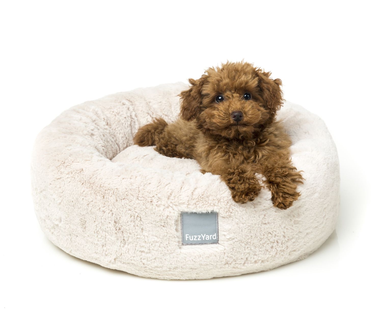 FuzzYard Dreameazzzy Cuddler Cream Dog Bed - Large