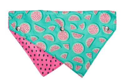 Dog Bandanas &amp; Bow Ties