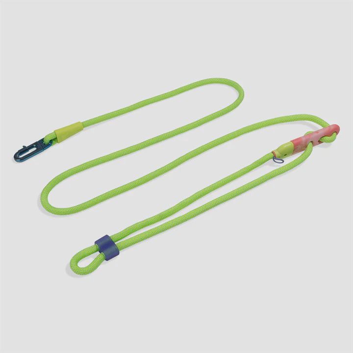 ZeeDog GLO Handsfree Leash