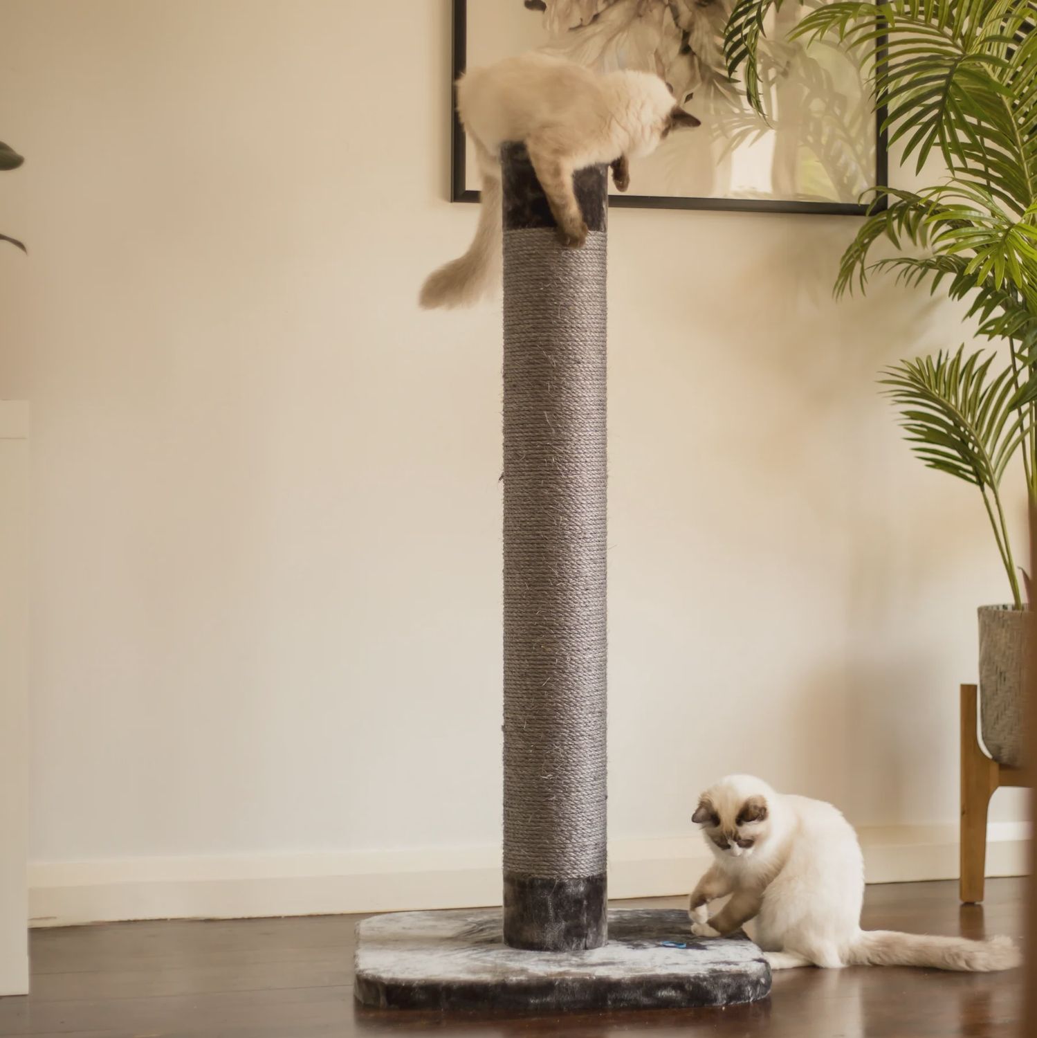 Kazoo Cat Scratch Post Charcoal Large