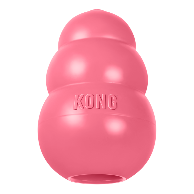 Kong Puppy Medium