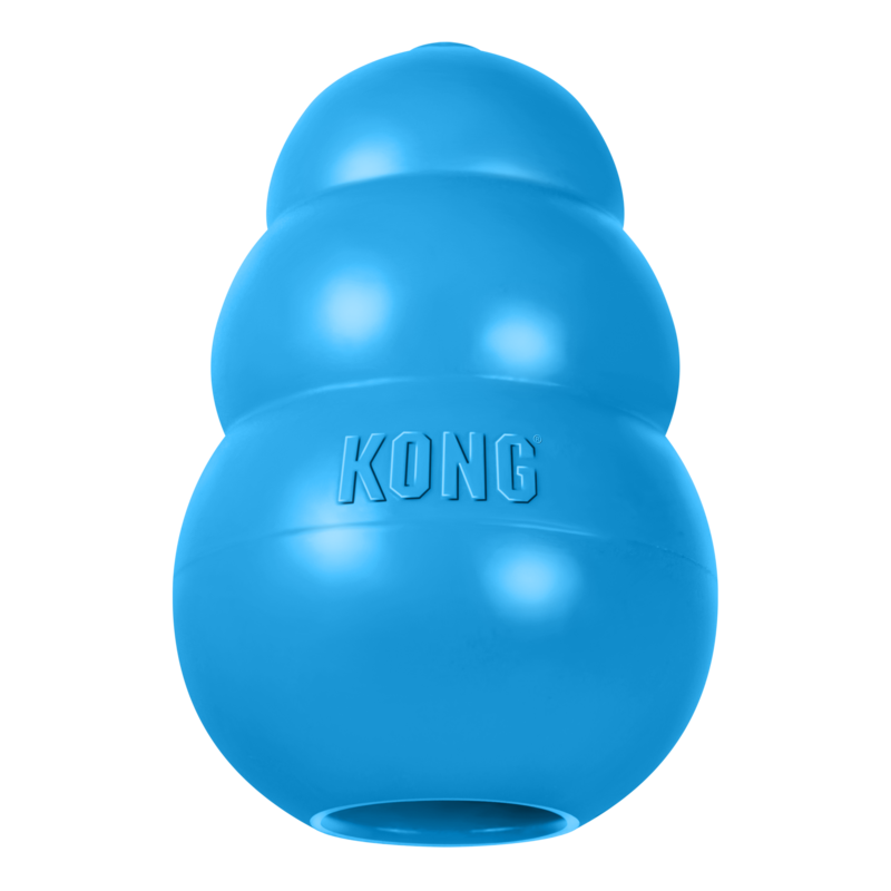 Kong Puppy Large