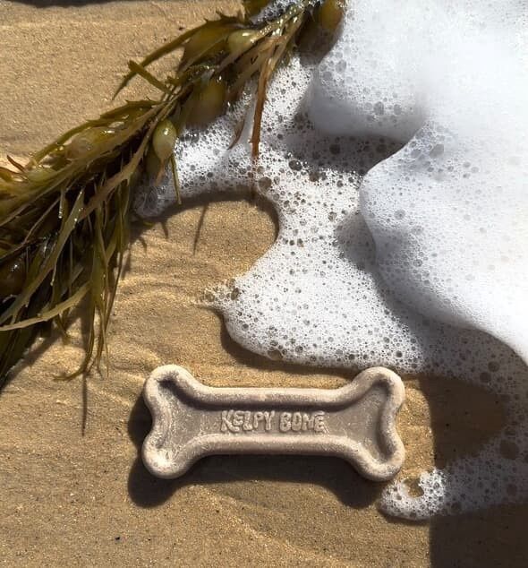 Kelpy Bone - Plastic Free Dog Chew