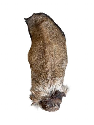 WILDBORNE Deer Ears