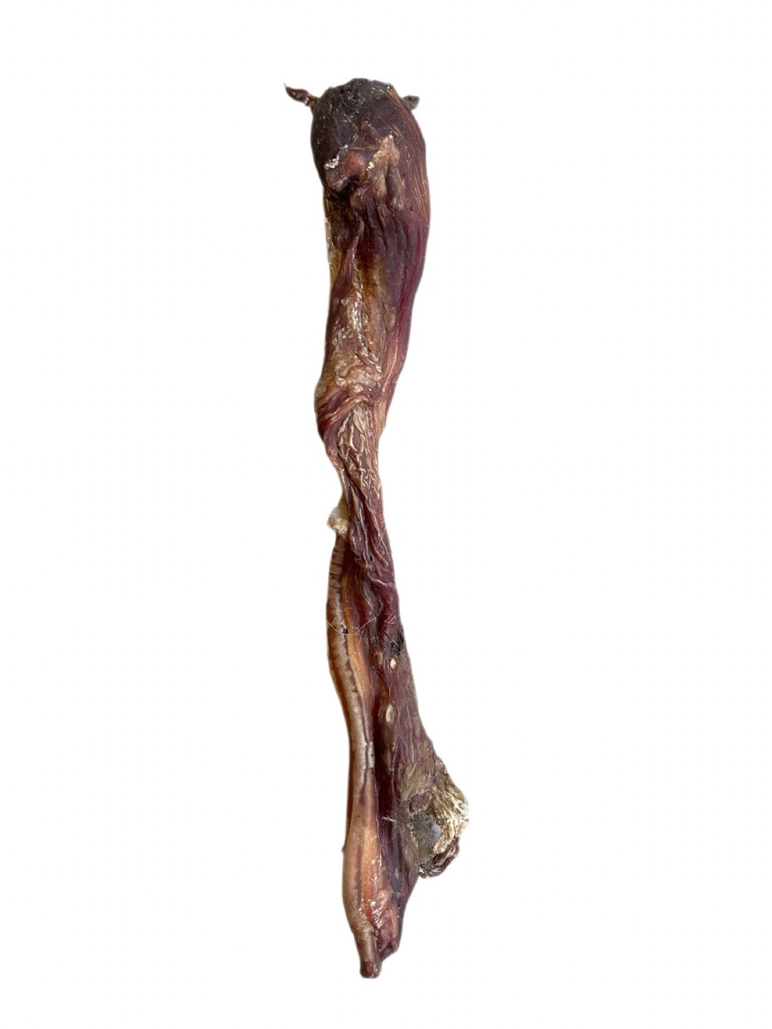 WILDBORNE Kangaroo Tendon