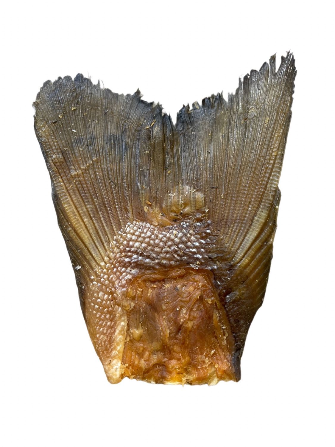 WILDBORNE Salmon Tails