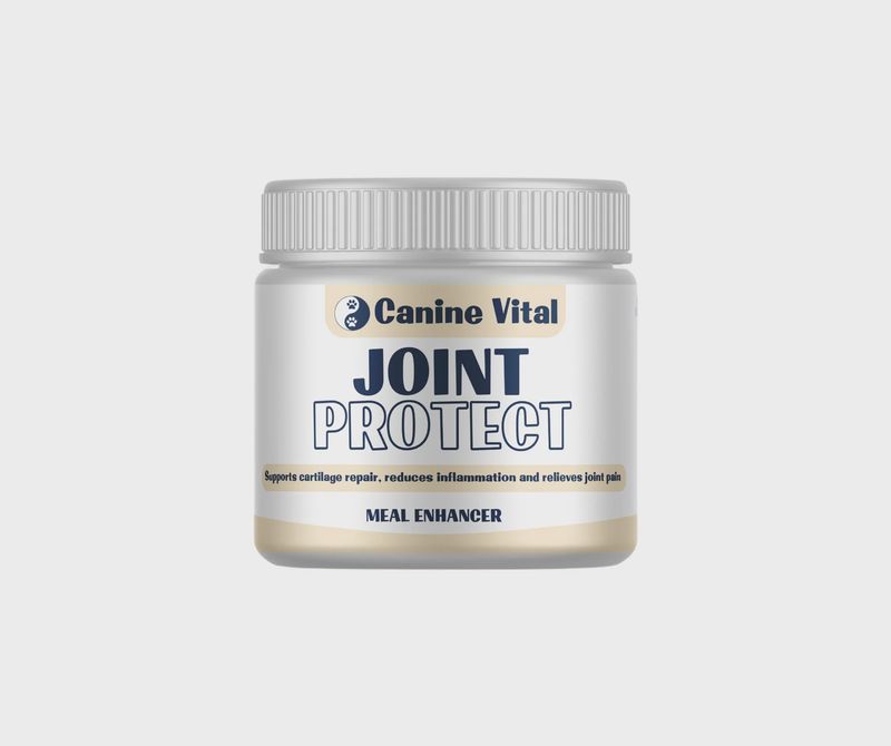 Canine Vital Joint Protect - Advanced Natural Hip and Joint Supplement for Dogs 140g