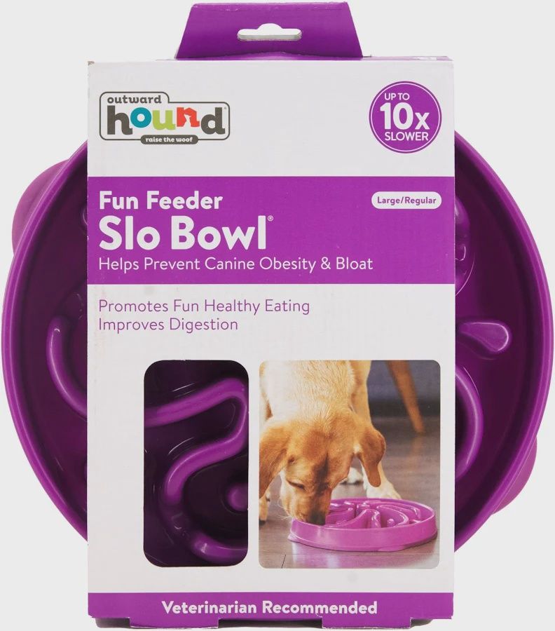 Outward Hound Fun Feeder Interactive Slow Bowl for Dogs - Purple Flower
