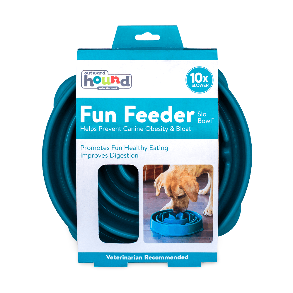 Outward Hound Fun Feeder Interactive Slow Bowl for Dogs - Teal Drop