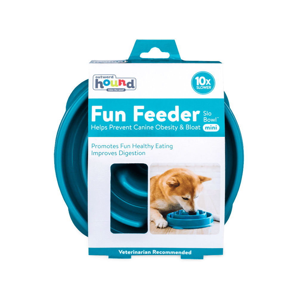 Outward Hound Mini Fun Feeder Interactive Slow Bowl for Dogs - Teal