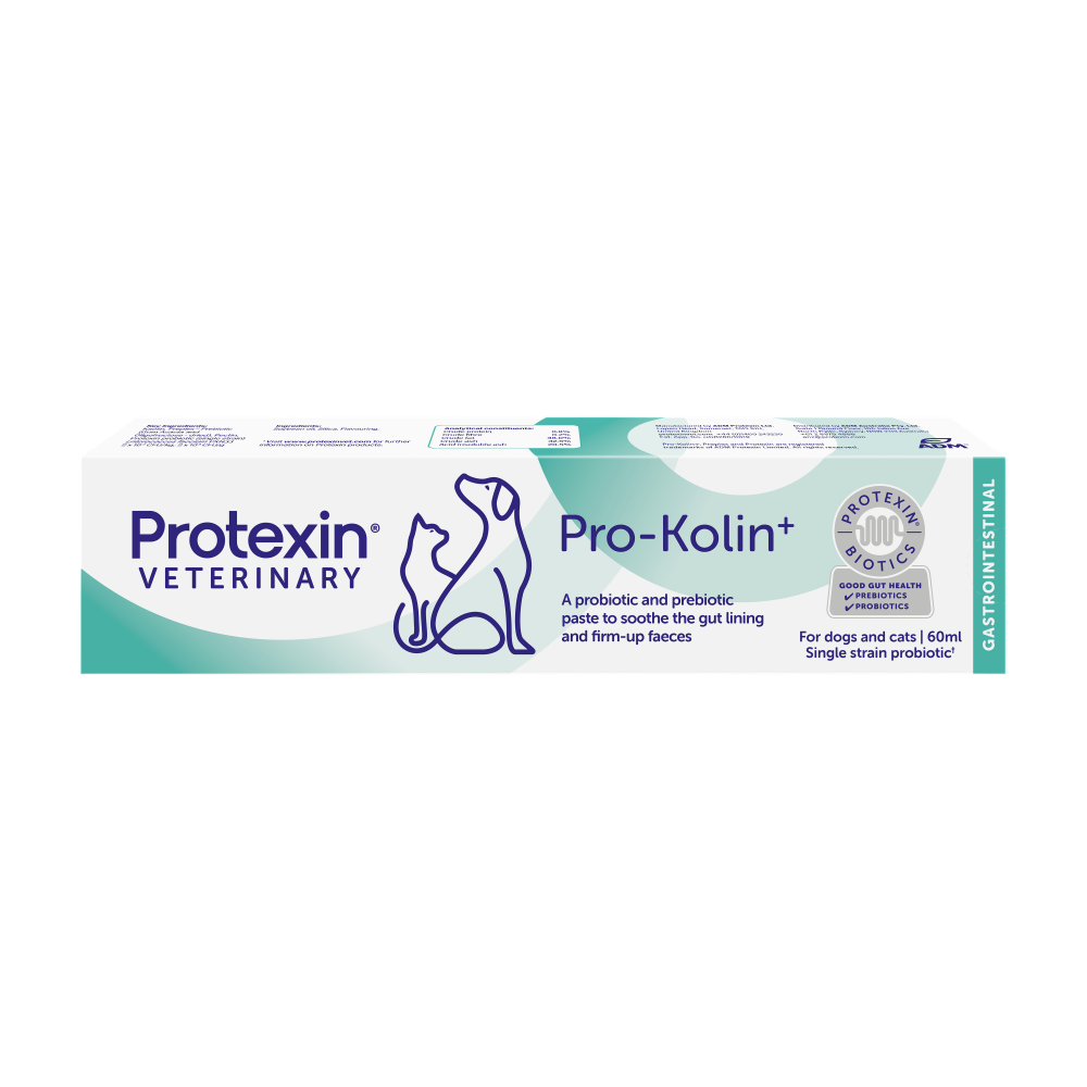 Pro Kolin + Syringe 60Ml