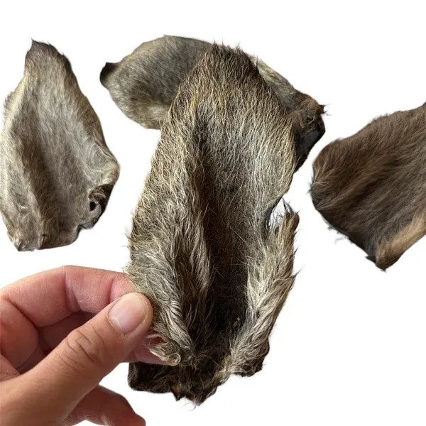 Kangaroo Ear with Fur - Single