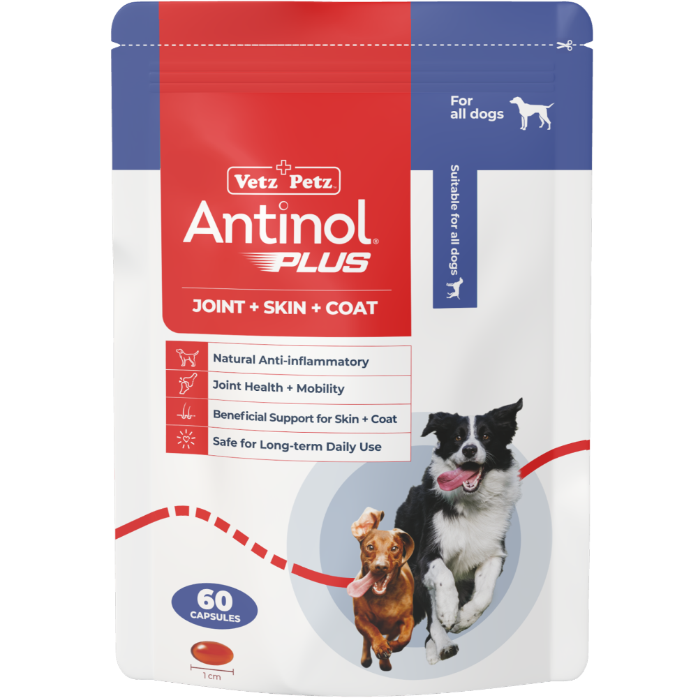 Antinol Plus For Dogs 60 Capsules