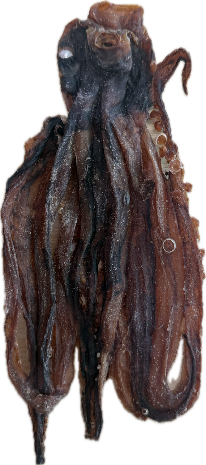 WILDBORNE Air Dried Calamari Dog Treat