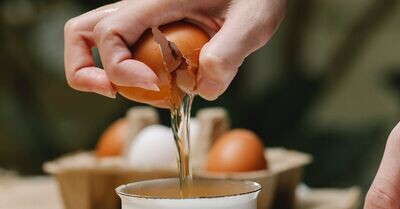 Liquid Eggs