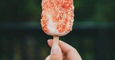 Fruit Bars