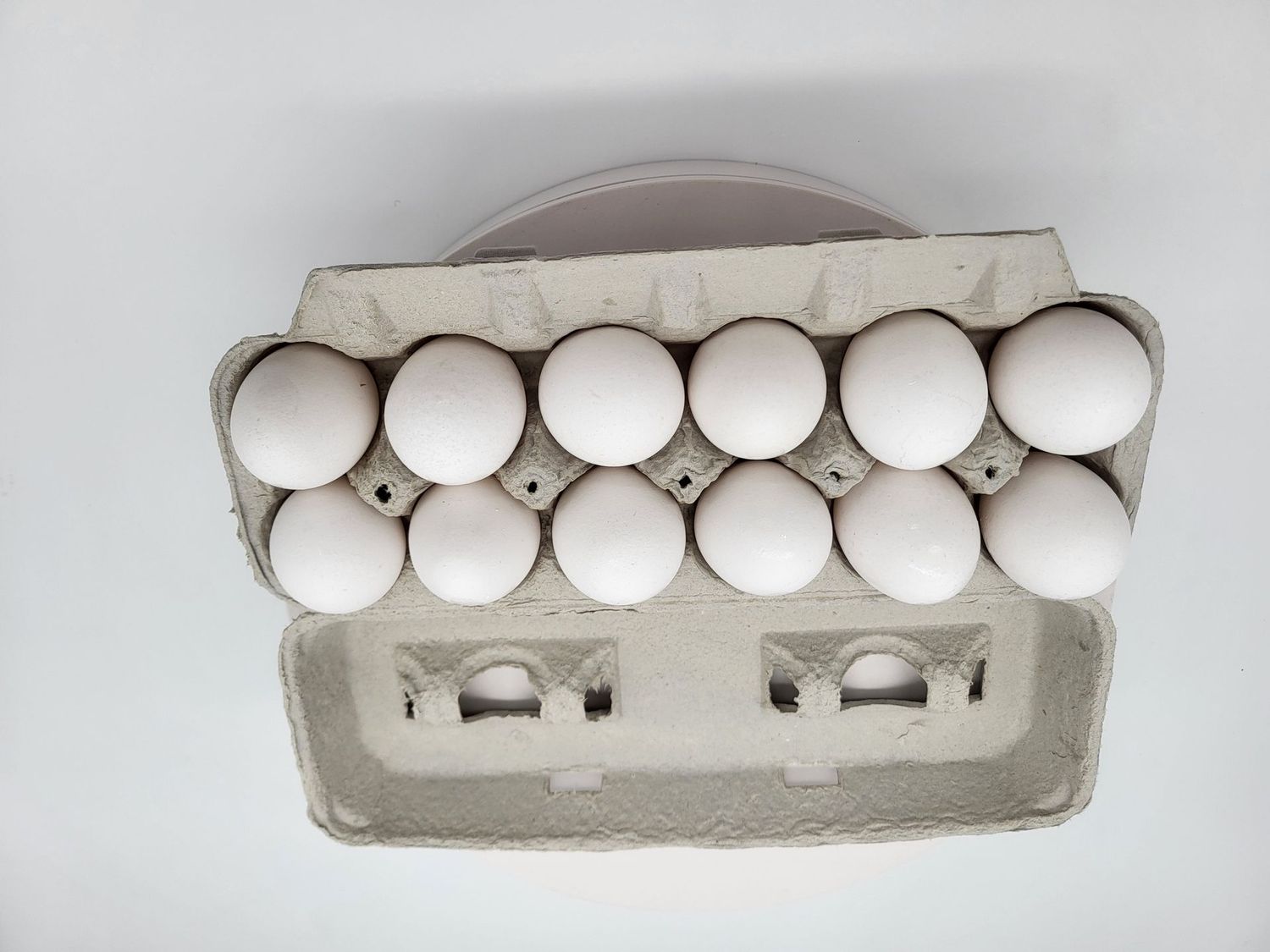 Eggs Extra large 1 dozen carton