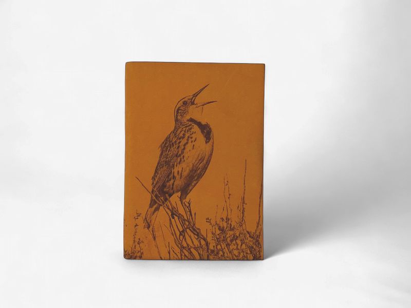 Engraved Free Fall Laser Large Journal