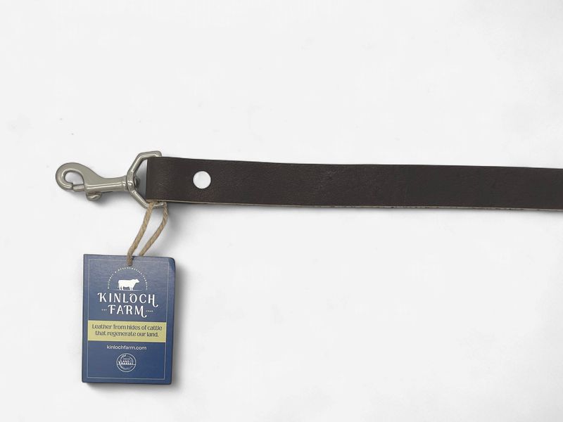 Leather Leash