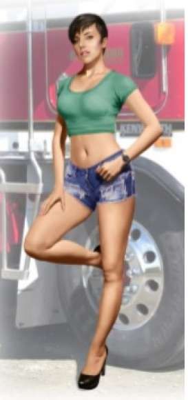 trucker series 24061