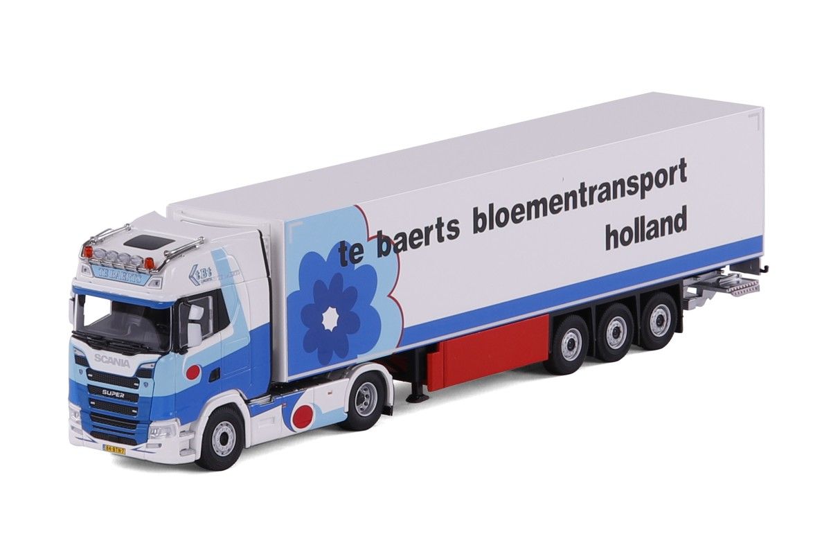 cavallino Te Bearts Transport
