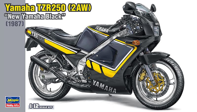 1/12 YAMAHA TZR250 2AW, NEW YAMAHA BLACK