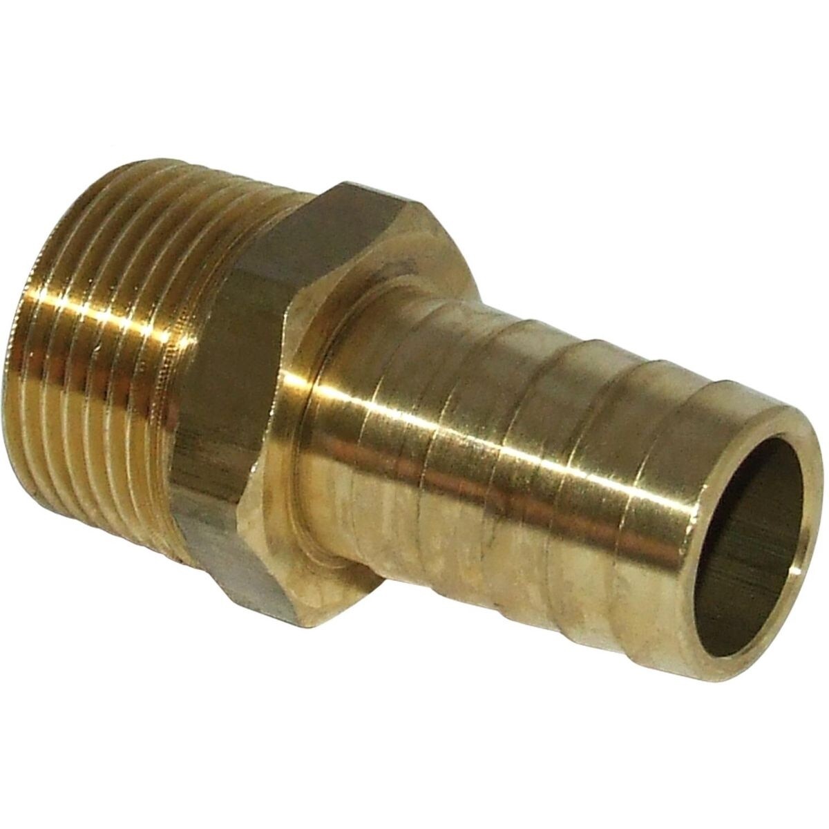 Maestrini DZR Straight Hose Tail (3/4&quot; BSPT Male to 19mm Hose)